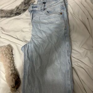 American Eagle Outfitters Light Blue Denim
